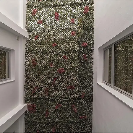 Ciudad Del Mar 3* ラスパルマス・デ・グランカナリア